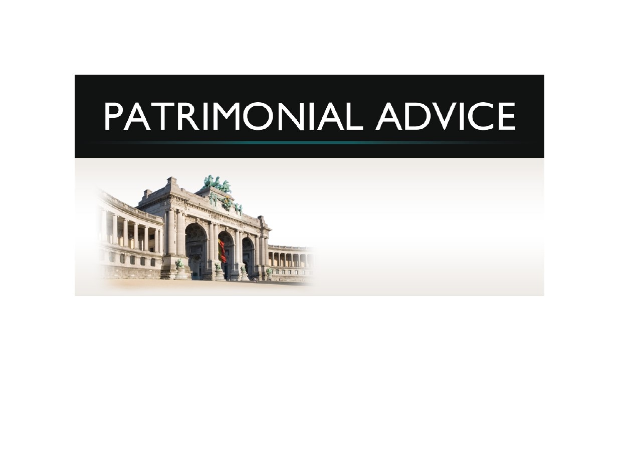 Patrimonial Advice